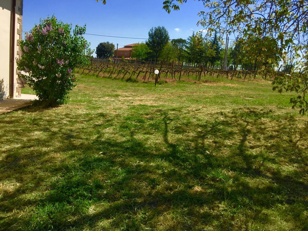 Country House Maremma Nel Tufo Pitigliano Bagian luar foto