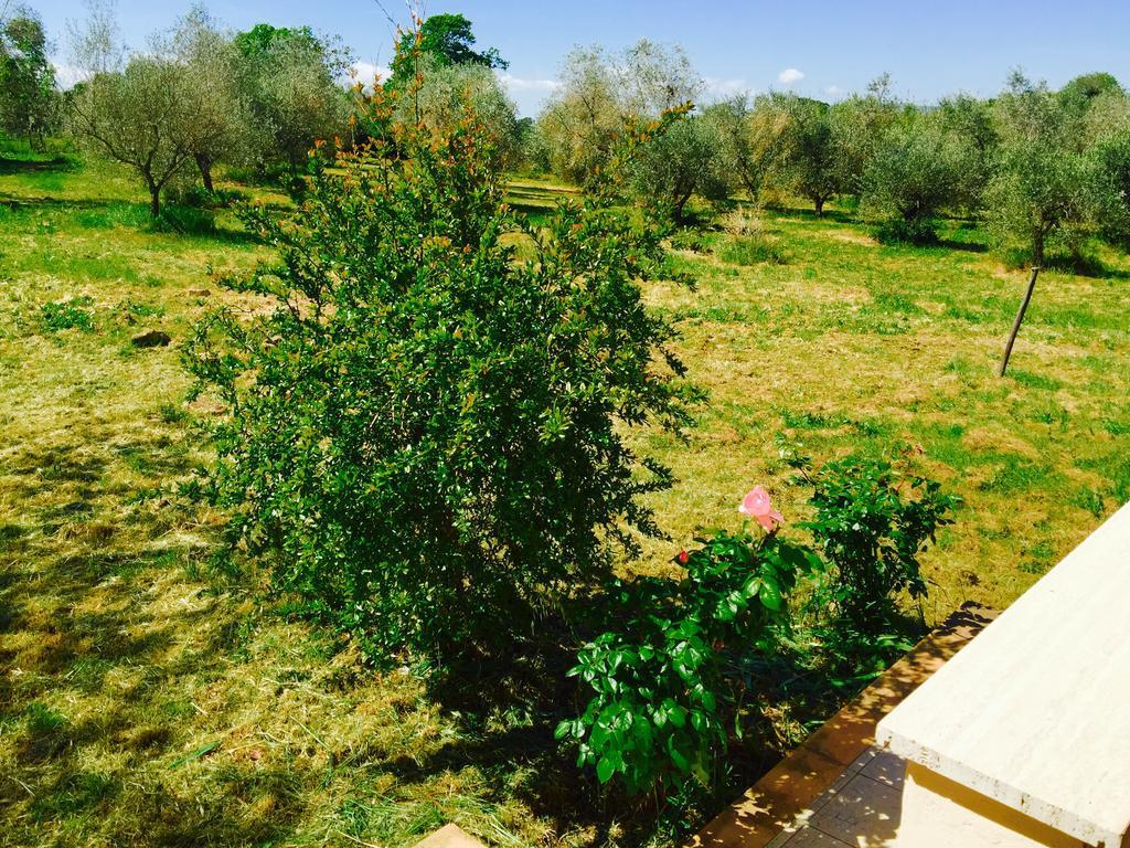 Country House Maremma Nel Tufo Pitigliano Bagian luar foto