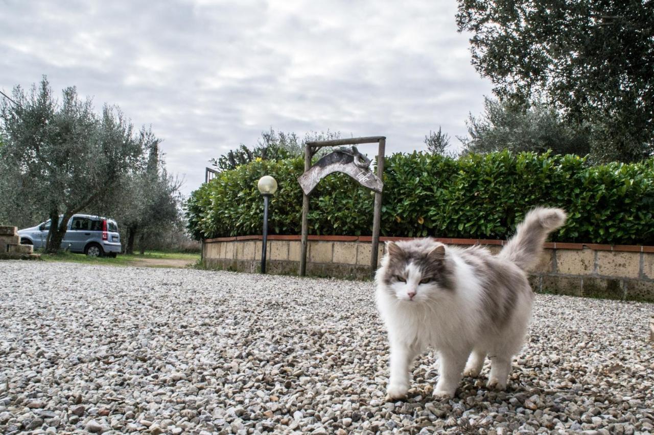 Country House Maremma Nel Tufo Pitigliano Bagian luar foto